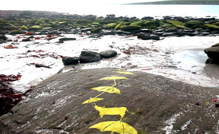 papa westray